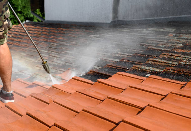 Best Roof Power Washing Services  in Chevy Chase Village, MD