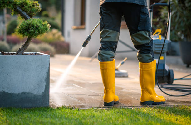 Best Power Washing Near Me  in Chevy Chase Village, MD